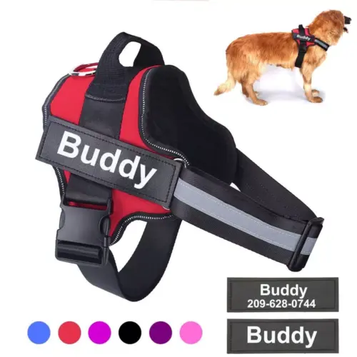 Arnés personalizado para perro yaloveo.es