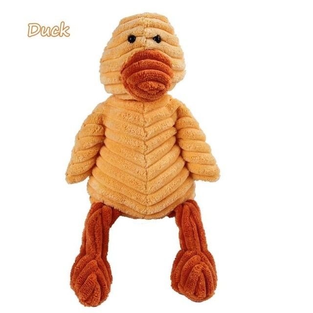 pato