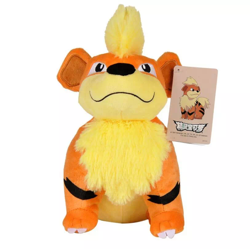 Wartortle 23cm