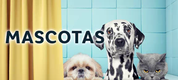 Mascotas en Yaloveo.es