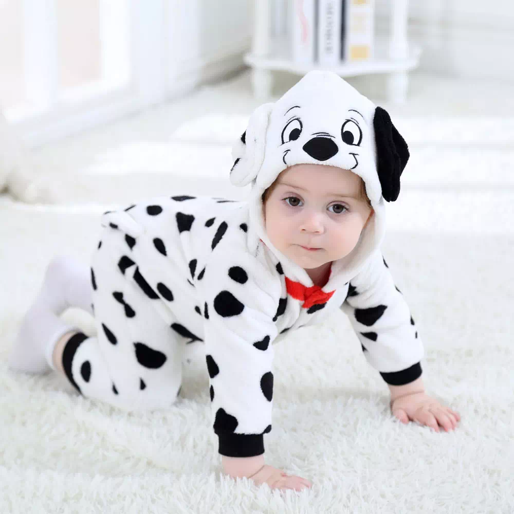 Dalmata