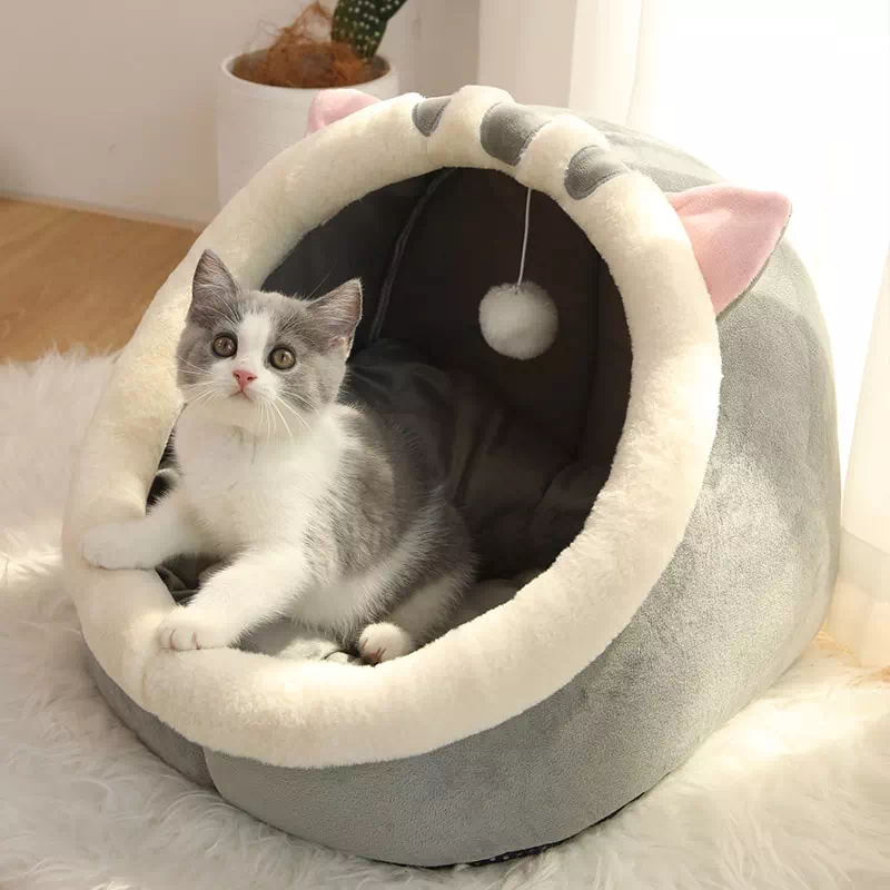 Gato