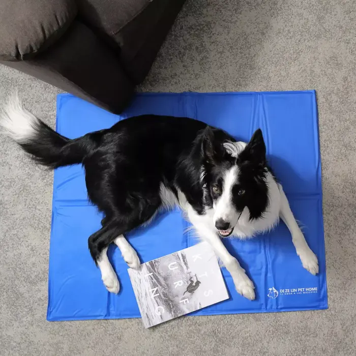 manta refrescante para mascotas, lavable para sofá, cama o coche