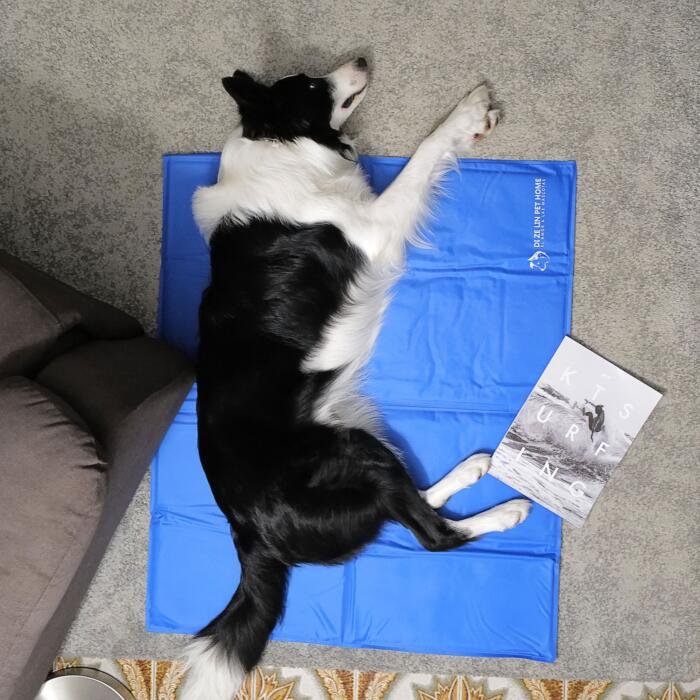 manta refrescante para mascotas, lavable para sofá, cama o coche - Imagen 2