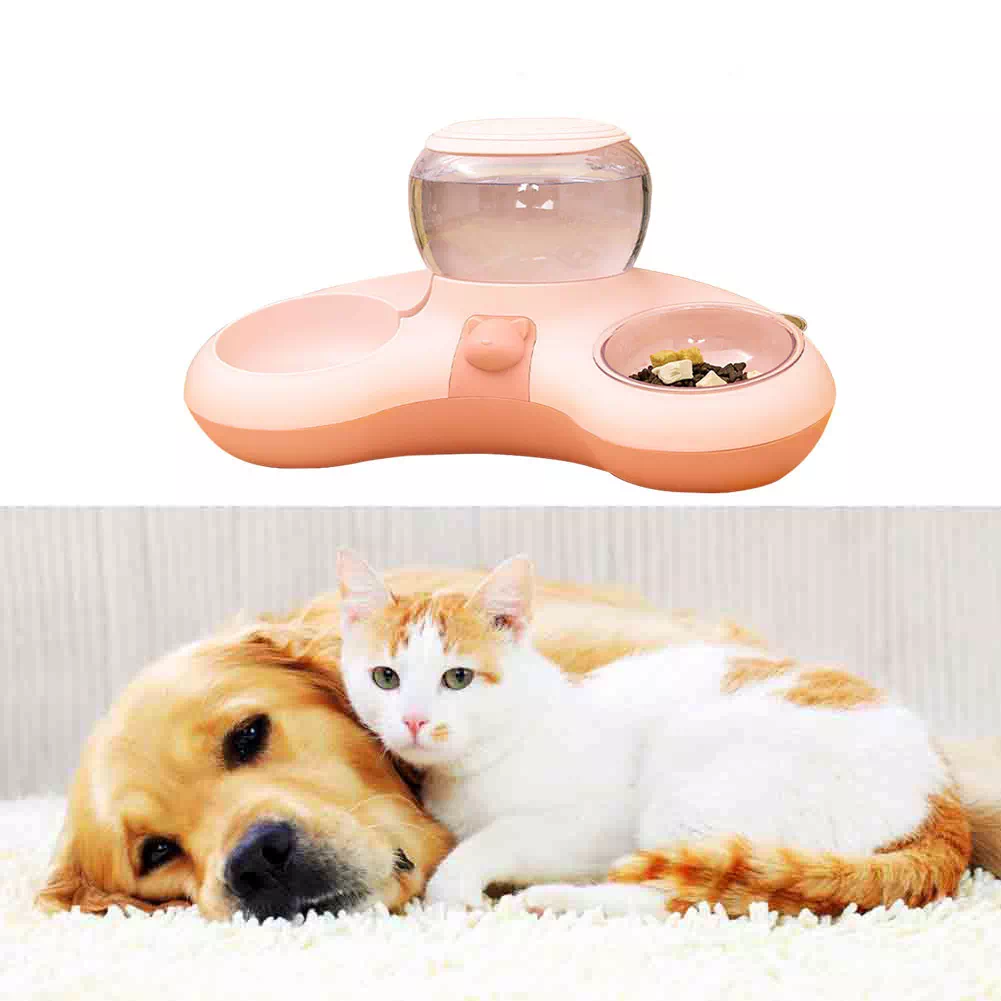 Comedero automático para gatos y perros Yaloveo.es