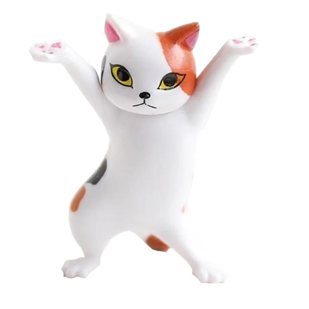Oso y Gato